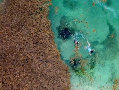 Turistas nadan en Playa del Carmen, Quintana Roo (México), en mayo de 2019.