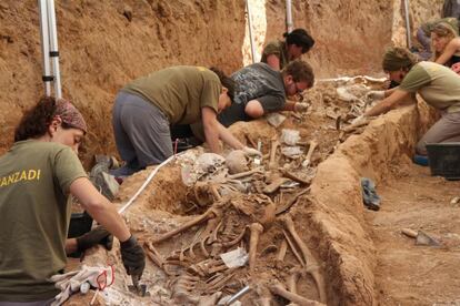 Los arqueólogos limpian minuciosamente los esqueletos hallados en una fosa en Gumiel de Izán (Burgos) con 59 cuerpos.