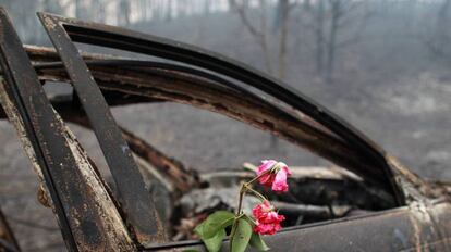 Una flor en recuerdo de las personas que murieron en este coche en Nodeirinho.