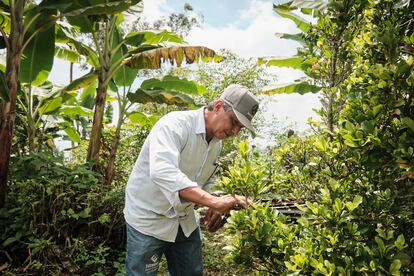 James Vivas, dueño de un rancho ecoturístico en la montaña.