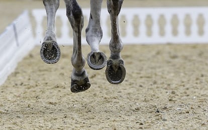 Borough Pennyz, the horse of the Italian Vittoria Panizzon during the equestrian competition in Greenwich Park.