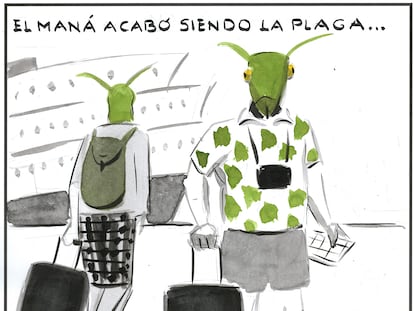 El Roto