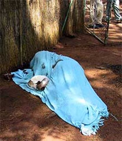 Imagen del cadaver del granjero Terence Ford, asesinado por partidarios de Mugabe.