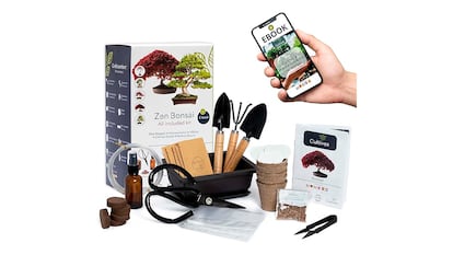 Kit para cultivar bonsais sobre fondo blanco.