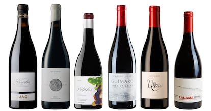 Seis de los mejores vinos tintos de mencía a un precio asequible