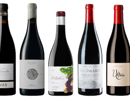 Seis de los mejores vinos tintos de mencía a un precio asequible