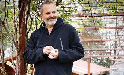 El cantante Miguel Bosé, en su casa de Madrid en mayo de 2018.