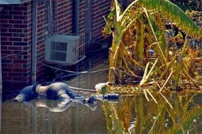 Un cadáver flota en una calle inundada de Nueva Orleans.
