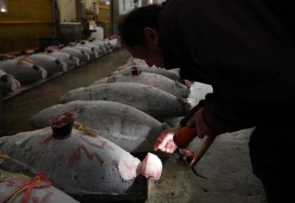 El kilo de atún rojo para minoristas rara vez es baja de los 70 euros.