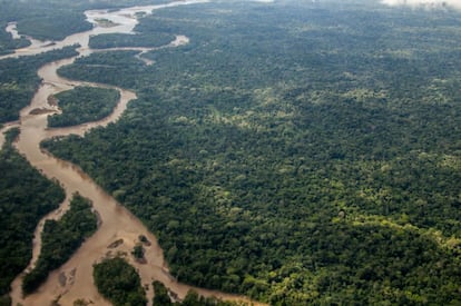 En lo profundo de la Amazonia ecuatoriana son los ríos los que sirven de carreteras a sus habitantes. No hay asfalto, pero hay agua. Las diversas nacionalidades que viven en el territorio navegan estos ríos como forma de transporte y conexión entre comunidades. Los achuar de Sharamentsa y Kapawi navegan el inmenso Pastaza, plasmado en un color café chocolate en esta fotografía. 