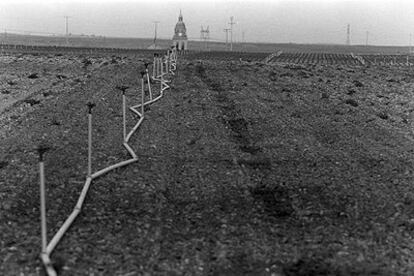 Un campo de cultivo con su sistema de riego.