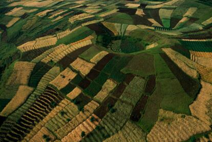 Vista aérea de unos cultivos