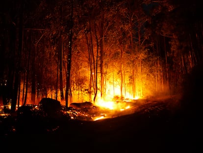 Incendio en el monte Xiabre, en Caldas de Reis (Pontevedra).