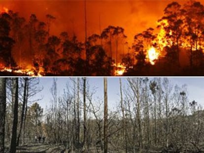 Arriba, las llamas consumen el bosque atlántico de las Fragas do Eume en los montes de A Capela la noche del sábado. La foto inferior muestra el estado de la vegetación el domingo por la tarde tras el paso del incendio.