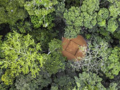 Reserva de la Biosfera de Yangambi, en el norte de la RDC, con una parcela despejada para albergar una torre de flujo donde se medirá el intercambio neto de CO2.