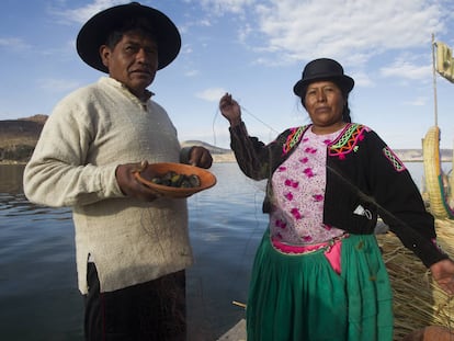 El lago Titicaca pierde sus peces