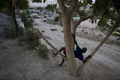 Un niño se sienta en un árbol dentro de un campamento establecido para personas desplazadas por el terremoto de 2010 en Port-au-Prince, pero que se ha convertido en una solución a largo plazo. Según la Organización Internacional para las Migraciones, cerca de 65.000 personas seguían viviendo en 66 campamentos en marzo de 2015.