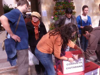 Los promotores de la consulta popular en Elche 