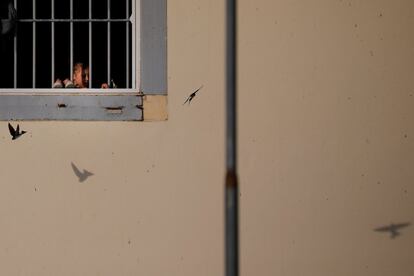 Una niña migrante se asoma por la ventana en un centro de recepción de refugiados y migrantes, cerca de Fylakio (Grecia).
