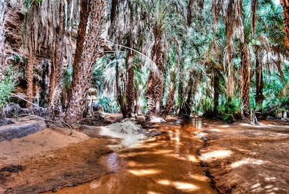 El oasis de Terjit.