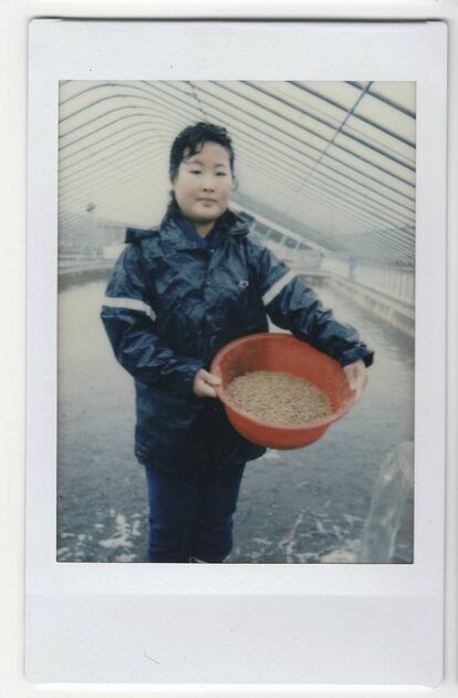 Kim Jin-ok, 25 anos, posa dando alimento aos peixes em um viveiro de bagres de Pyongyang. Quando se pergunta o que lhes é mais importante, os norte-coreanos podem falar em trabalhar duro, em fazer esporte ou ter uma família grande, mas nunca se esquecem de Kim Jong-un. Seu lema: “Trabalhar duro no meu posto de trabalho agrada ao nosso líder Kim Jong-un”, explica Kim.