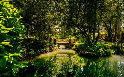 El Jard&iacute;n Bot&aacute;nico de Gij&oacute;n. 