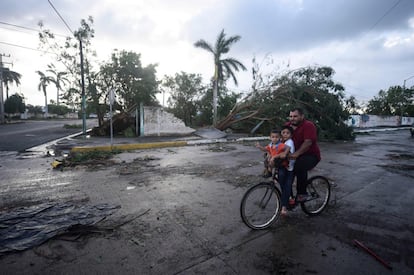 Un hombre que monta en bici con sus hijos, pasa por delante de un árbol caído por los fuertes vientos del huracán Willa a su paso por Escuinapa, en el estado de Sinaloa (México).