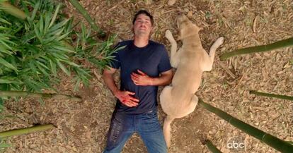 ¿Cuál es el significado de la escena final de 'Perdidos', con Jack tumbado con un perro?