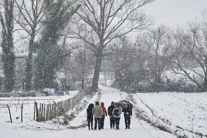 Um grupo de pessoas caminha sob os primeiros flocos de neve que caíram durante a nevasca Filomena.