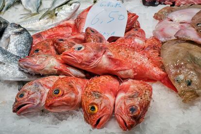 Escórpora gallineta, a un mercat de Barcelona.