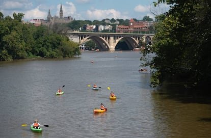 Kayaks en el Potomac, río entre el barrio de Georgetown y la isla Theodore Roosevelt, en Washington.