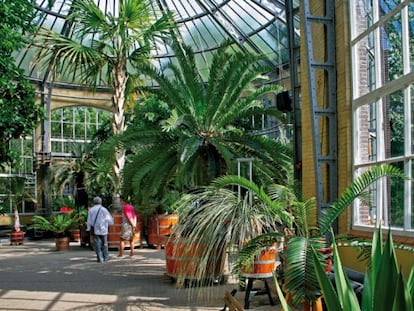 Hortus Botanicus Amsterdam es uno de los jardines botánicos más antiguos del mundo.