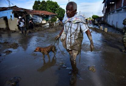 Un hombre camina con un perro después de una avalancha del río La Paila, en el municipio de Corinto, departamento del Cauca (Colombia).