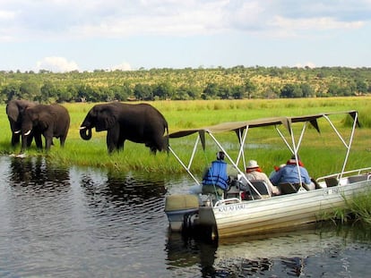 Imagen de archivo de un grupo de turistas extranjeros fotografiando elefantes cerca del río Chobe, en Botsuana, cerca de la frontera con Namibia.