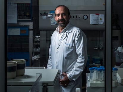 Santiago Moreno, jefe de servicio de enfermedades infecciosas en el Ramón y Cajal (Madrid).