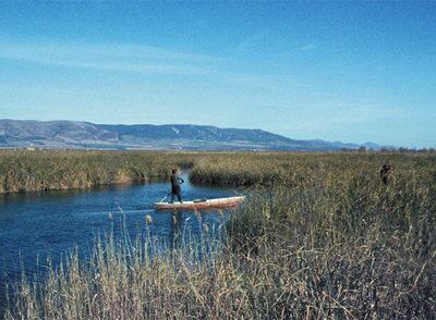 Una barca de quilla plana en las Tablas de Daimiel cuando tenían agua.