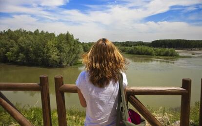 Reserva natural de los Sotos del Ebro, en La Rioja Baja.