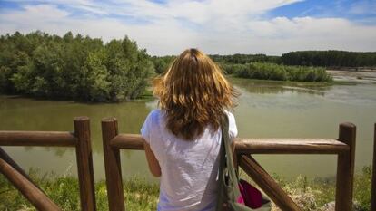 Reserva natural de los Sotos del Ebro, en La Rioja Baja.