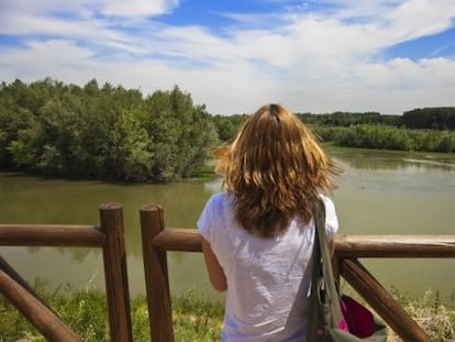 Reserva natural de los Sotos del Ebro, en La Rioja Baja.