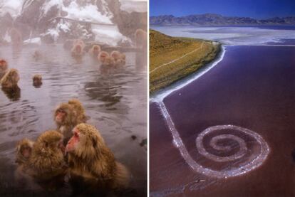 Dos destinos de excepción: el parque de los monos de Jigokudani, en Japón, y la espiral Jetty, de Robert Smithson, en Utah (EE UU).