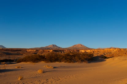 Paisaje del desierto de Atacama cerca del viñedo Chanjnantor en el sector de Zapar.