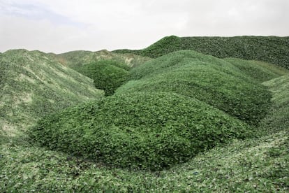 In this Sunday, Jan. 24, 2016 photo, broken glass bottles are piled up to be recycled at the Phoenicia Glass Works Ltd. factory in the southern Israeli town of Yeruham. Deep in the heart of Israelx92s desert, shimmering mountains of glass dominate the landscape. Tiny shards, millions of them, are piled into rolling hills of green and brown. They are 50 feet high and span the length of a few soccer fields. (AP Photo/Oded Balilty)