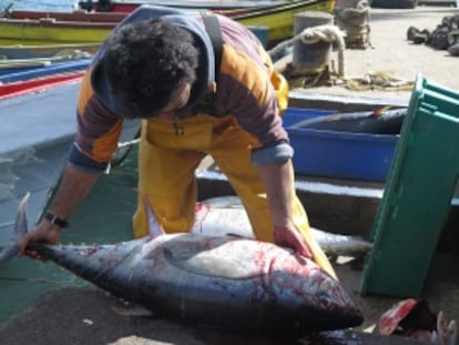 Un pescador rapanui en el embarcadero de Hanga Roa.