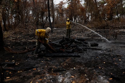 Agents of ICMBio (Chico Mendes Institute for Biodiversity Conservation) work to extinguish a fire in Pantanal, the world's largest wetland, in Pocone, Mato Grosso state, Brazil November 23, 2023. REUTERS/Amanda Perobelli