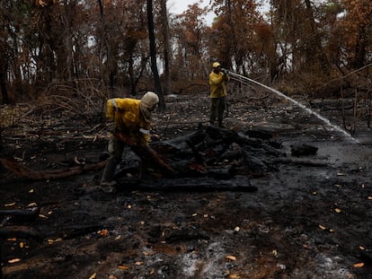 Agents of ICMBio (Chico Mendes Institute for Biodiversity Conservation) work to extinguish a fire in Pantanal, the world's largest wetland, in Pocone, Mato Grosso state, Brazil November 23, 2023. REUTERS/Amanda Perobelli