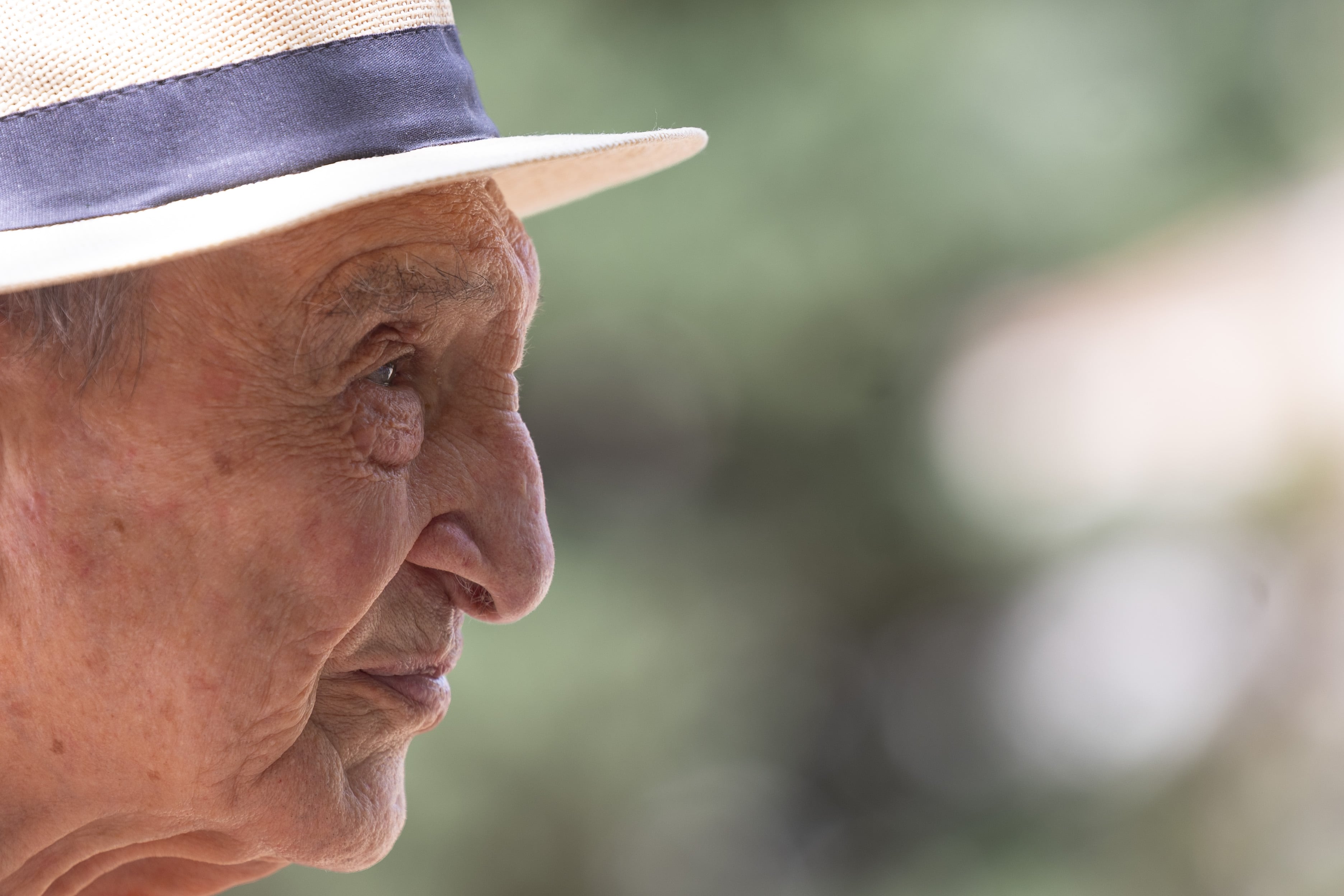 El historiador Nicolás Sánchez Albornoz en su finca de Ávila.