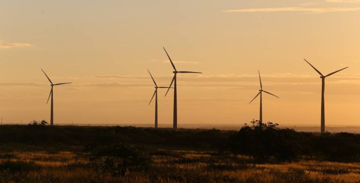 Blue Tree alcanza los 1.000 MW bajo gestión en renovables | Mercados ...