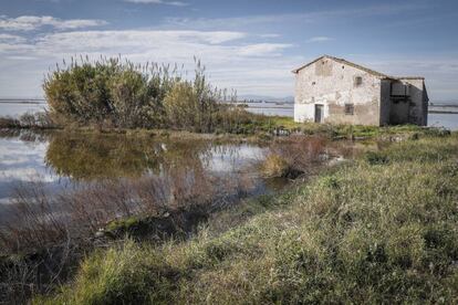 La Albufera de Valencia en una imagen de archivo.