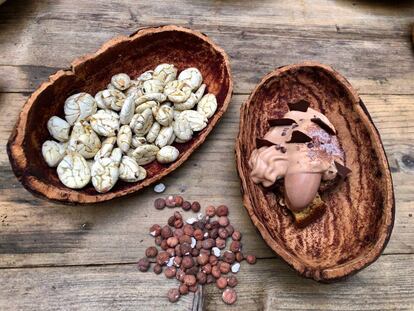 ESPUMA DE CACAO Y CANELA, BIZCOCHO DE AVELLANA, PLÁTANO ASADO CON SOJA, SHICA-SHICA GARRAPIÑADA, MACAMBO TOSTADO, HELADO DE CHOCOLATE AL 85% Y SAL DE PILLUANA / CAPEL