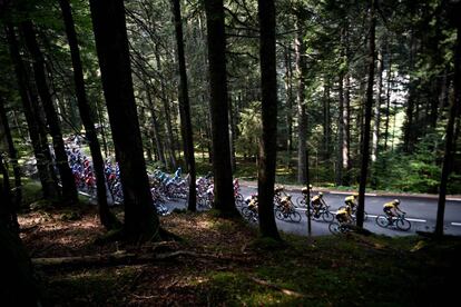 El pelotón durante la 16ª etapa del Tour entre las localidades de La Tour du Pin y Villard-de-Lans, el 15 de septiembre.